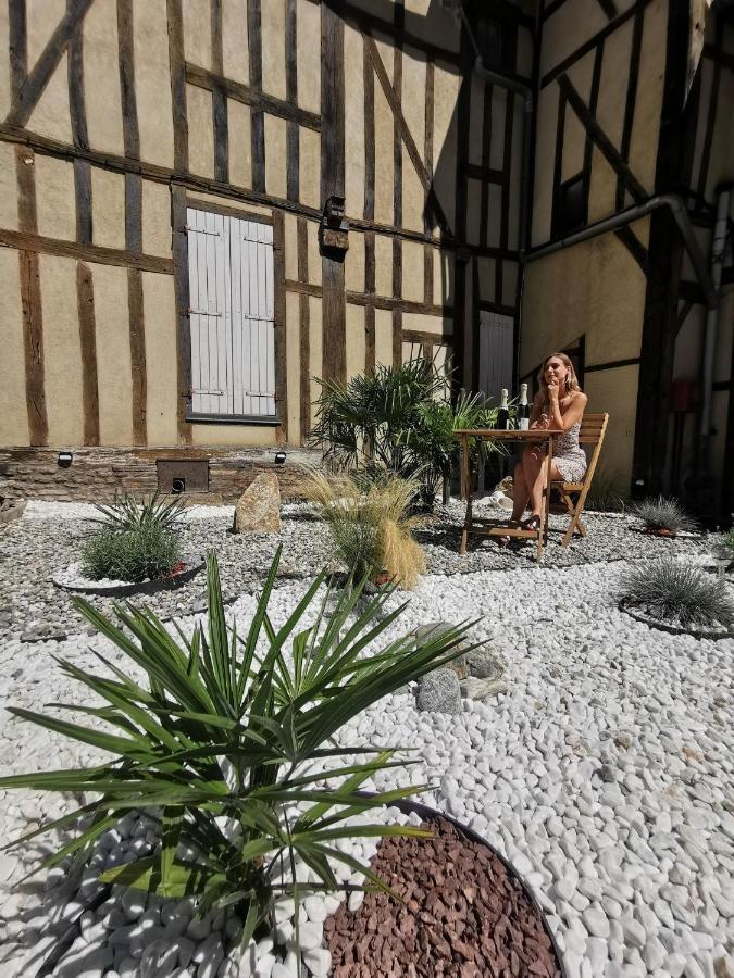 Les Cieux De La Cathedrale - Calme - Jardin - Wifi Apartment Troyes Exterior photo